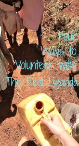 The Real Uganda offers 4 programs for international volunteers to join. You can teach in primary schools, dig on organic farms, work in public health, and get involved with women empowerment groups. Our focus is cultural exchange. Bring your encouragement, creativity, and love to Uganda!