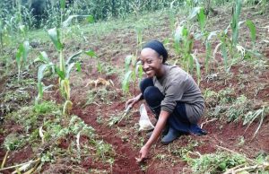 Volunteer on a farm in Uganda and help a community achieve food security.