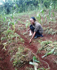 volunteer in Africa