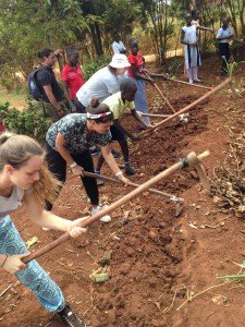 volunteers gardening in Uganda