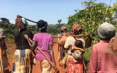 Ugandan farmers coming home from the gardens