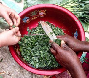 volunteer in Uganda and cook fresh greens from the garden