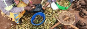 Ugandan local food is fresh from the garden and largely organic