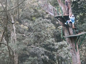 Zip lining in Uganda