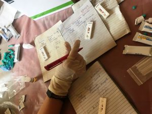 volunteers screening for malaria in Uganda