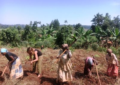 organic farming in Uganda
