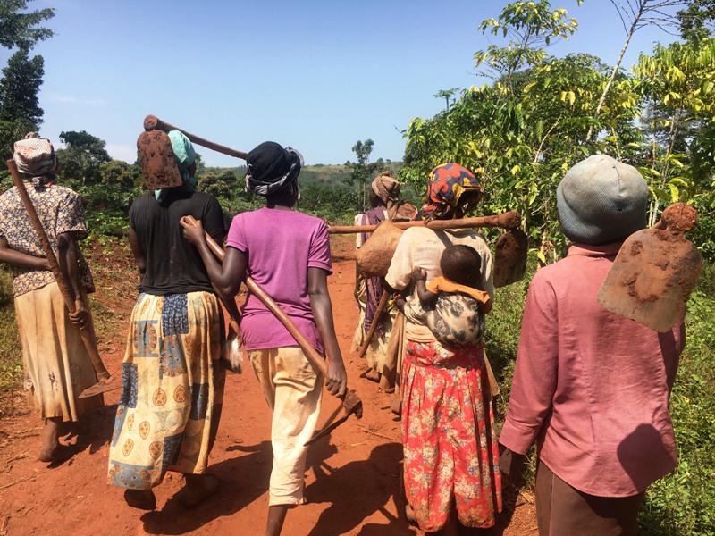 farming in Uganda