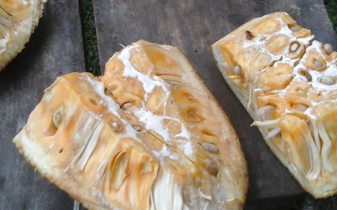sticky pieces of jackfruit